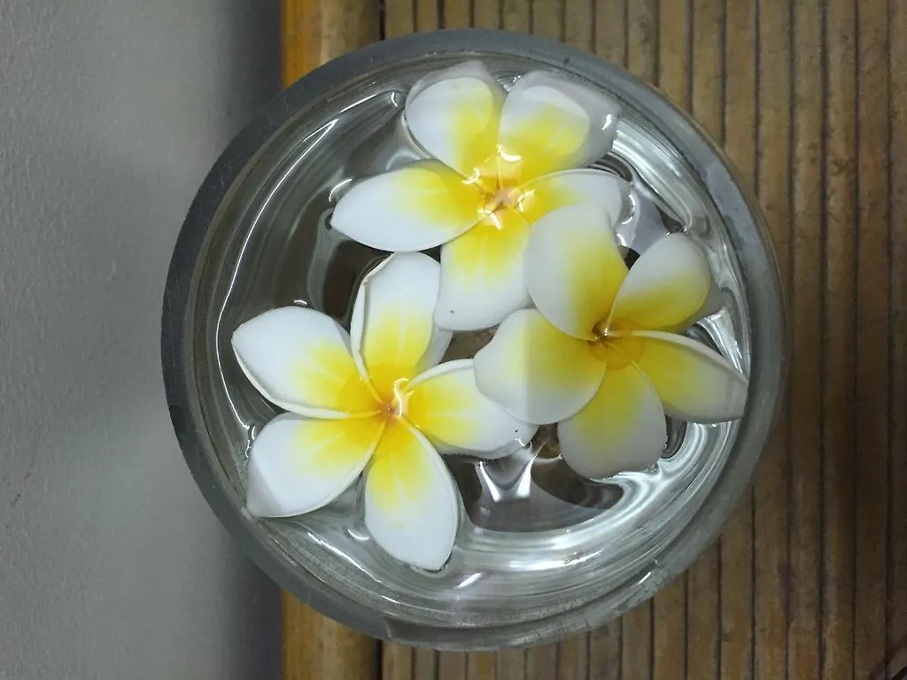 Water Palm Villas 会安